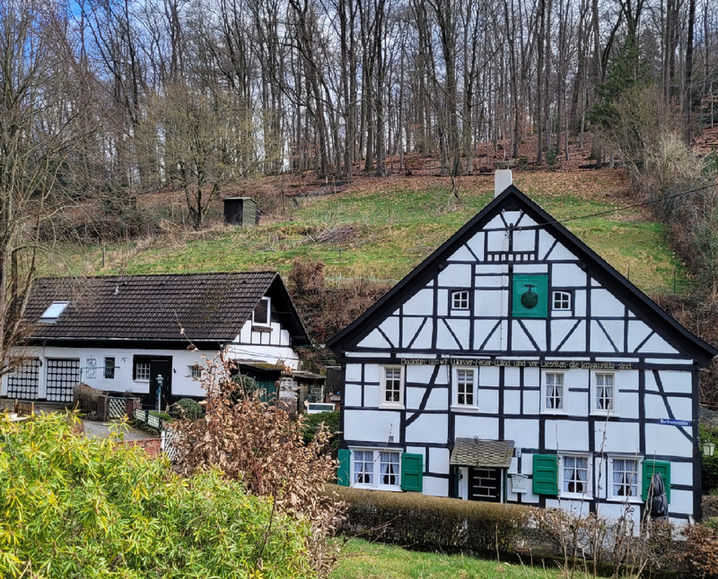 2026-03-15 1000108376__2_.jpg.jpg