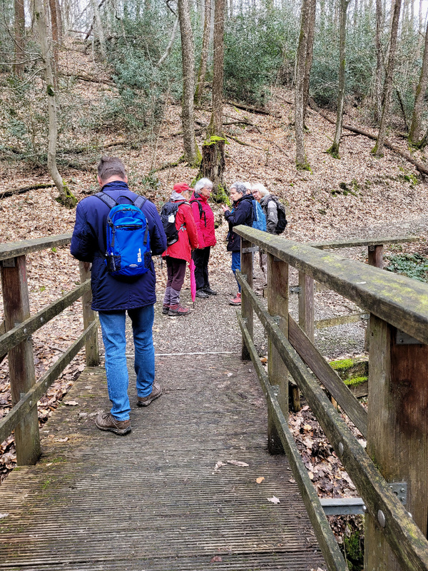 2026-03-15 1000108391__2_.jpg.jpg