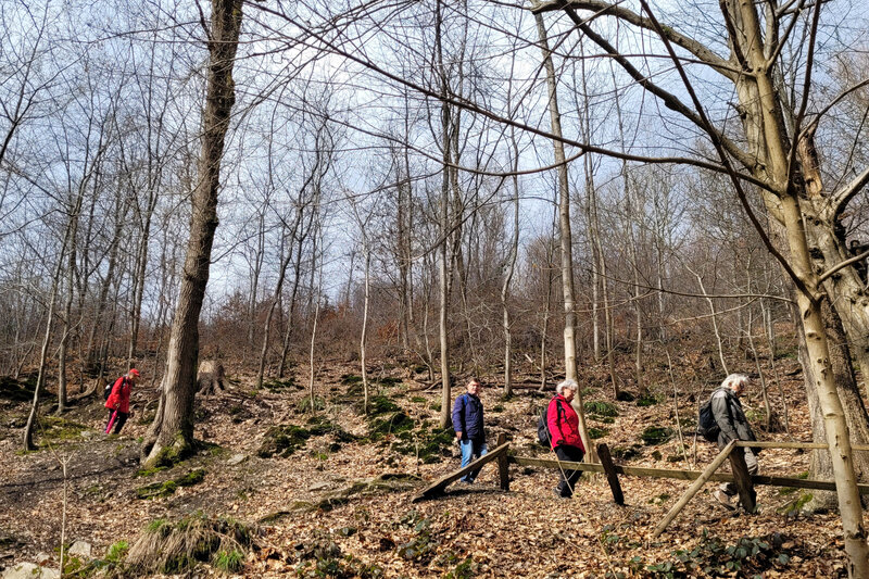 2015-013-15 1000108399__2_.jpg.jpg