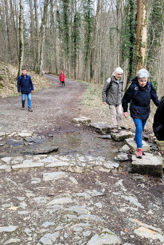 2026-03-15 1000108423__2_.jpg.jpg