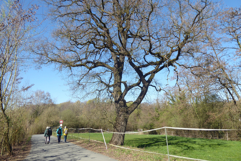 2026-03-21 p1100946__4_.jpg.jpg