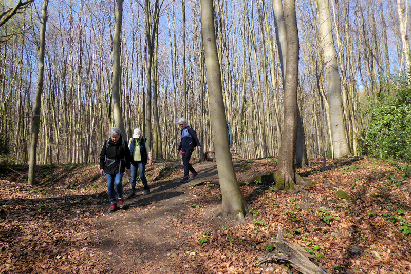 2026-03-21 p1100949__3_.jpg.jpg