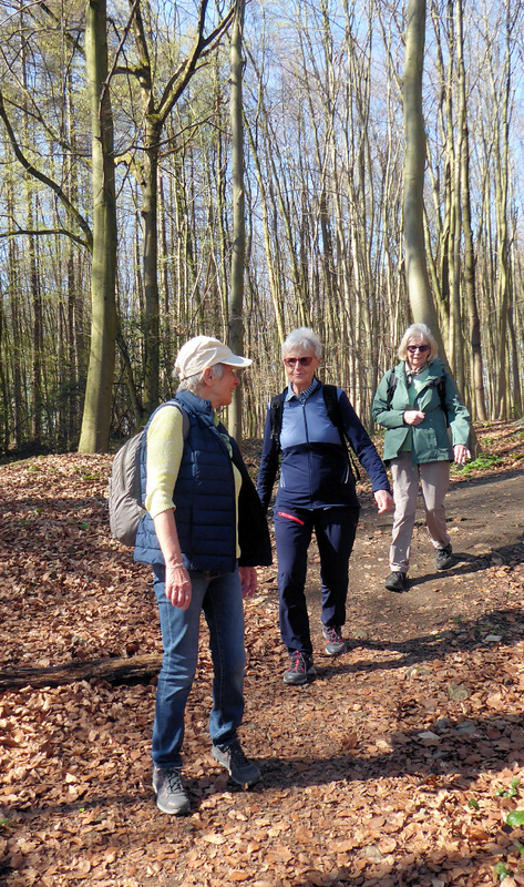 2026-03-21 p1100950__3_.jpg.jpg