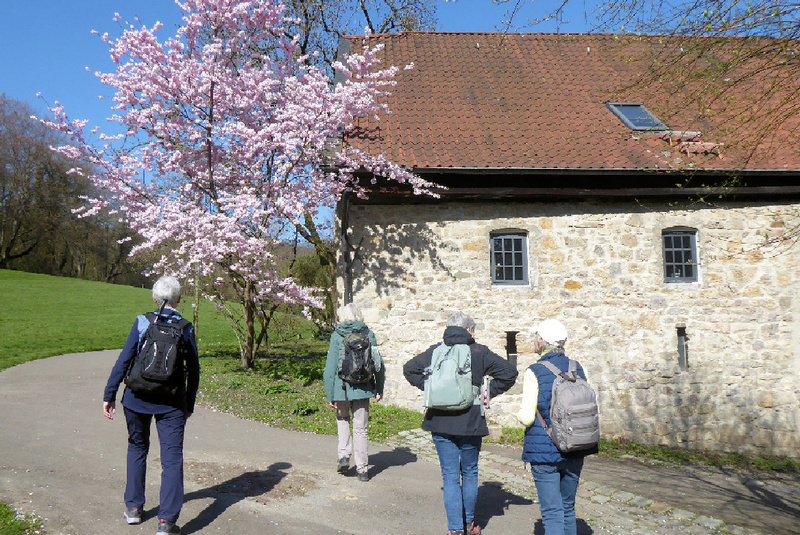 2026-03-21 p1100952__3_.jpg.jpg