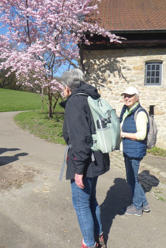 2026-03-21 p1100954__2_.jpg.jpg