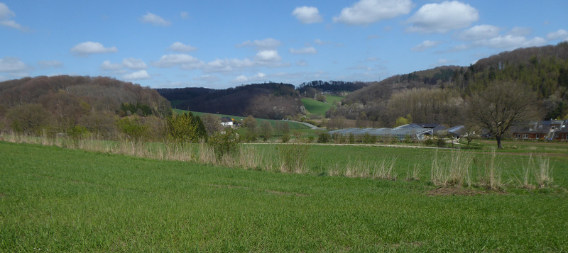2026-04-18 p1100976__2_.jpg.jpg