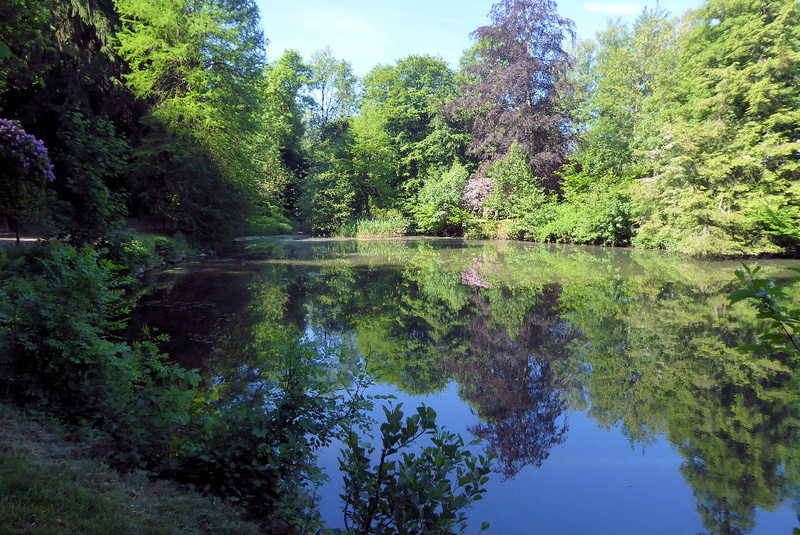 2026-06-06 p1110739__3_.jpg.jpg