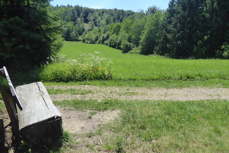 2026-06-06 p1110750__2_.jpg.jpg
