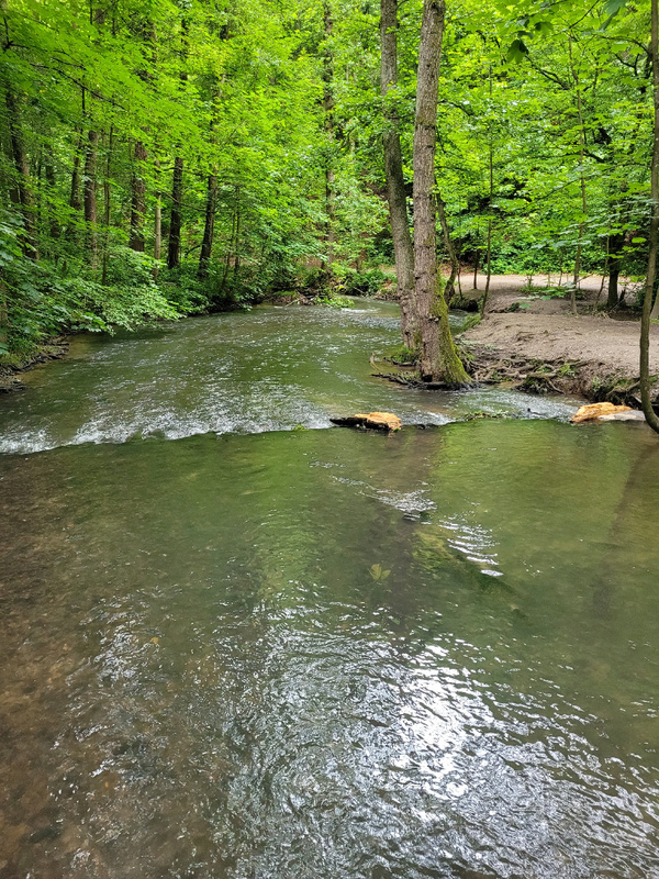 2026-06-14 1000121015__2_.jpg.jpg