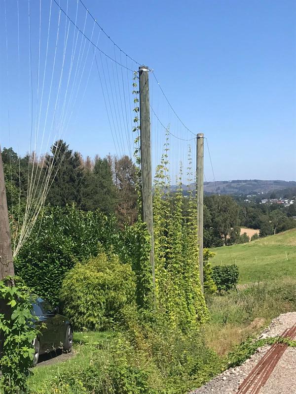 20210814 Bierweg-3.jpg