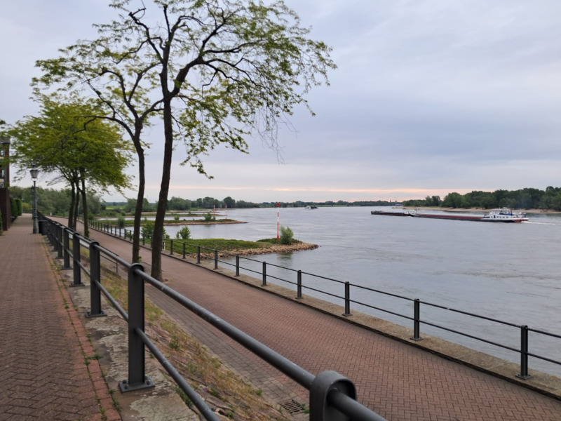 1_rhein.png.jpg