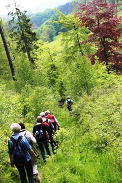 Gemeinschaftlich im Herbst unterwegs