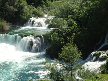 Kroatien - Im Nationalpark Krka (Foto: Ch. Buchbinder, SGV)