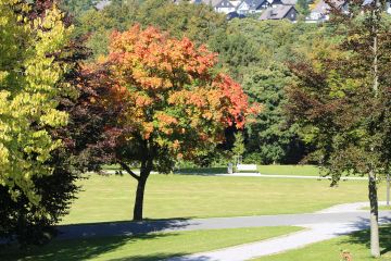 Herbstwandern mit dem SGV Aplerbeck