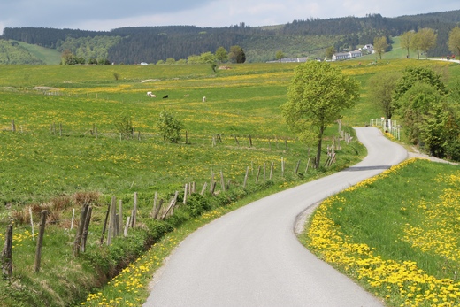 Raus aus dem Haus - Wandern ist schön.