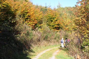 Farbenprächtige Herbstwanderung zum Fledermaustunnel