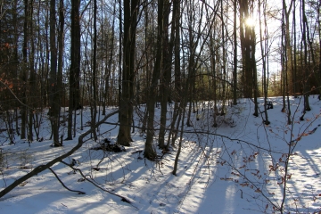 Winterwandern bei klarer Luft