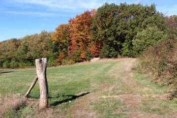 Herbststimmung