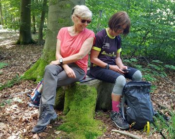 Sind wir auf dem richtigen Wanderpfad?