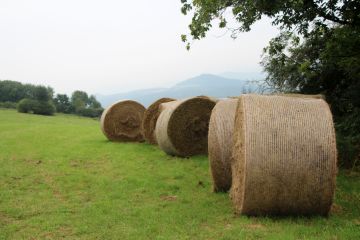 Gemeinsam unterwegs