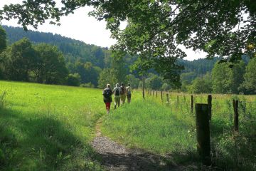SGV bietet Wandervielfalt