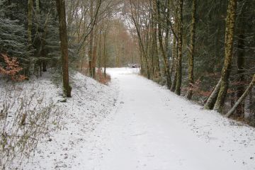 Wandern im Winter