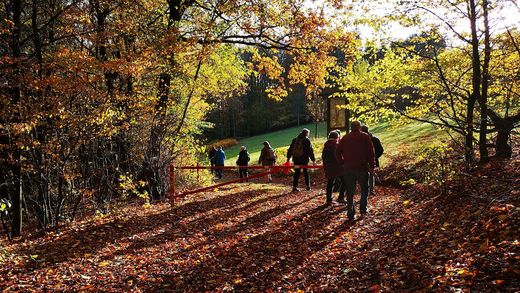 Herbststimmung (Foto W.-D. Sonnenburg)