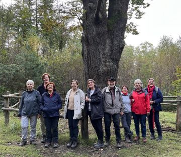 Abteilung Höchsten im Luerwald bei Menden