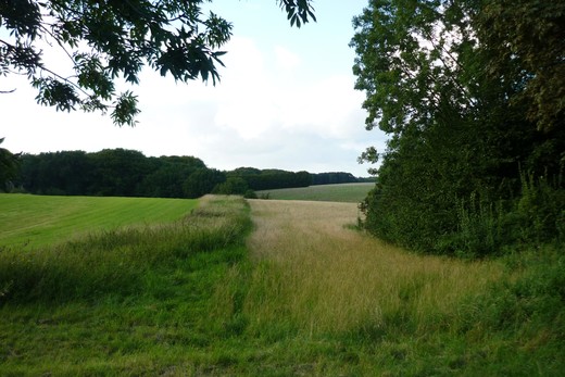 Wunderschönes Wagenbruch-Tal