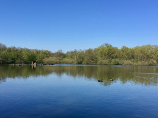 Ein schöner Ort für eine kurze Rast: der Brunosee