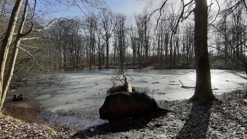 Winter im Dellwiger Bachtal