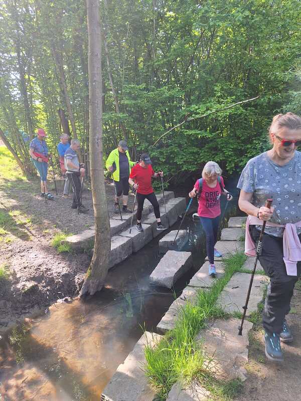 Nordic Walking mit Hindernissen