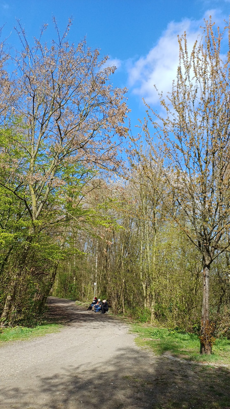 Frühlingswanderung mit Rast an der Schweriner Halde