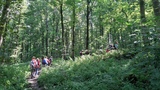 05.jpg