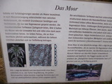 13.04.16 Botanischer Garten, Düsseldorf