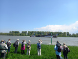 13.05.23 Durch die Rheinauen bis Zons, U-Boot ist aufgetaucht