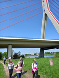 13.05.23 Durch die Rheinauen bis Zons, Fleherbrücke