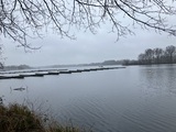 03.02.24 Der Unterbacher See bei diesigem Wetter