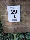 13.07.24 Über den Meuchelberg rund um Heimbach
