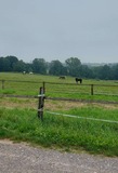 03.08.24 Auf dem Weg von Mettmann-Lindchen nach Erkrath