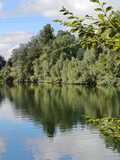 17.08.24 Am Stöckenbergsee