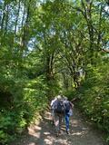 20.09.2024 Wir wandern mit Karin zum Forellenessen im Bauerncafe Groß-Ilbeck