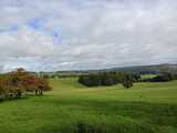 28.09.24  Die Elfringhauser Schweiz, eine traumhafte Landschaft