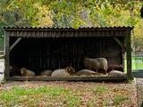 19.10.24 Eindrücke an der Erft