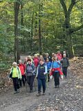 23.10.24 Wir wandern mit Vera vom Hahnerberg durch das Gelpetal zum Skulpturenpark Waldfrieden