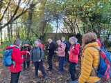 23.10.24 Wir wandern mit Vera vom Hahnerberg durch das Gelpetal zum Skulpturenpark Waldfrieden