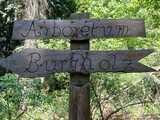 10.05.25 Eine Bildungswanderung durch das Arboretum Burgholz