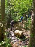 10.05.25 Wir wandern mit Vera durch Burgholz