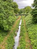 24.05.25 Natur im Ruhrgebiet