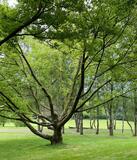 24.05.25 Natur im Ruhrgebiet